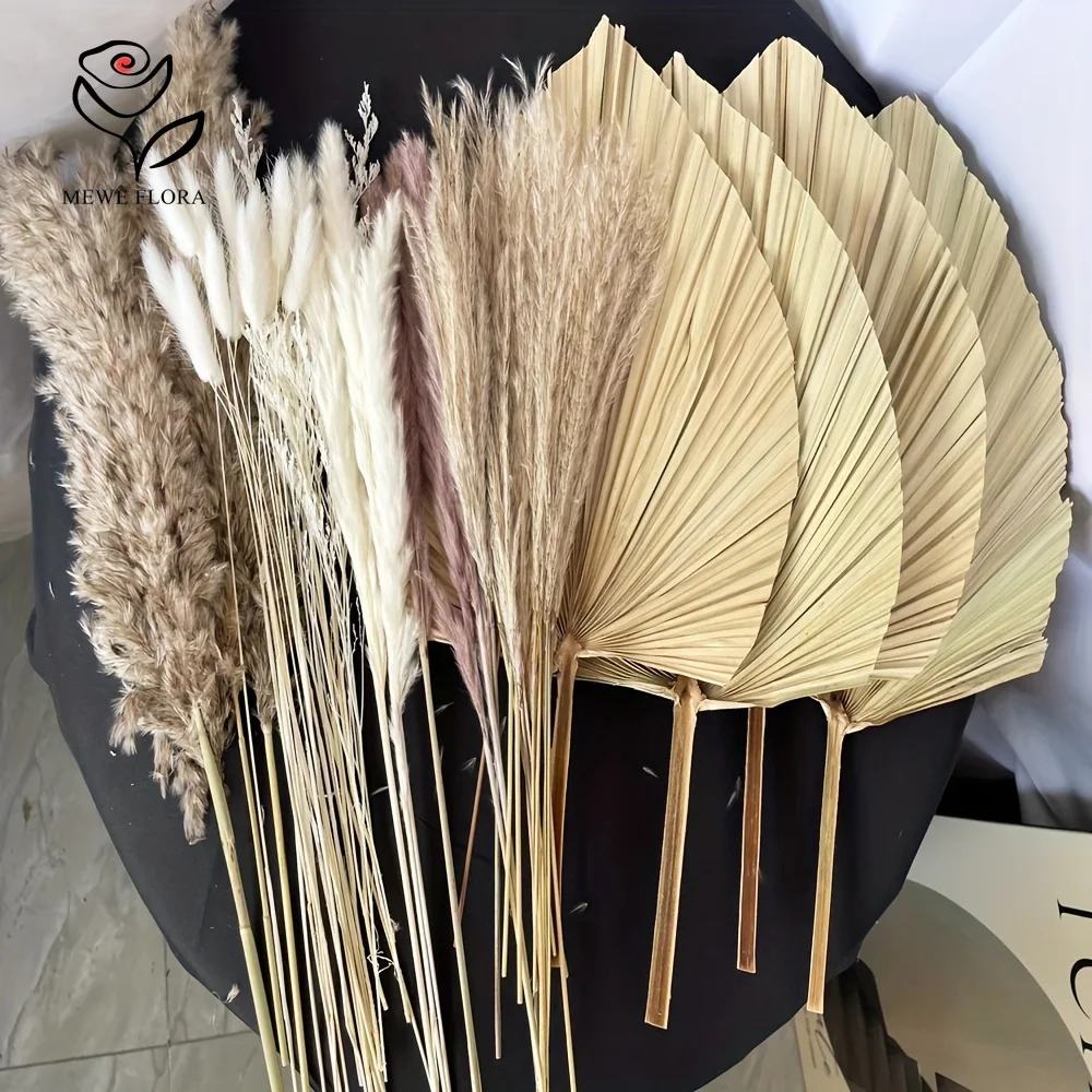 Pampas Grass Decor - 35 قطعة عشب بامباس الطبيعي بوهو