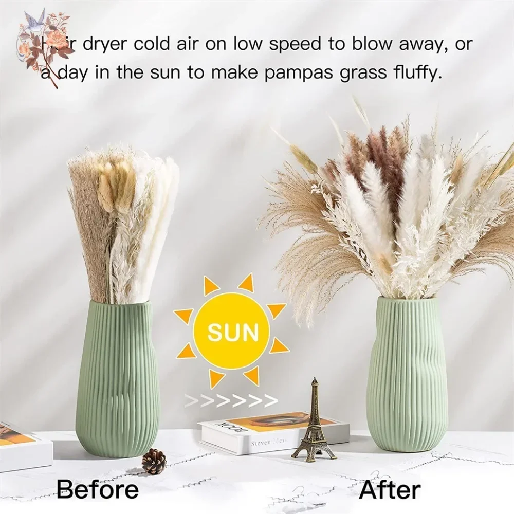 88 قطعة من عشب البامباس الطبيع - مراجعة Pampas Grass Decor وسعره