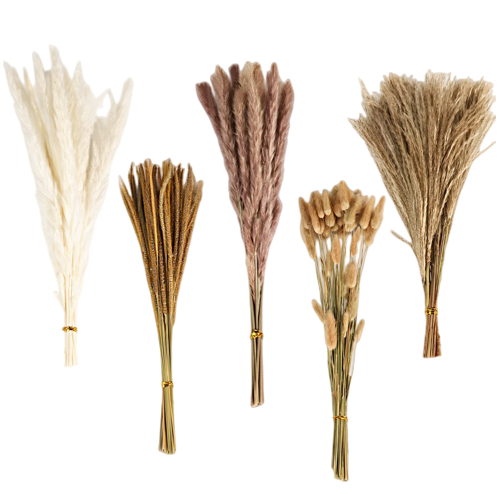 باقة زهور مجففة مختلطة بتصميم  - مراجعة Pampas Grass Decor وسعره