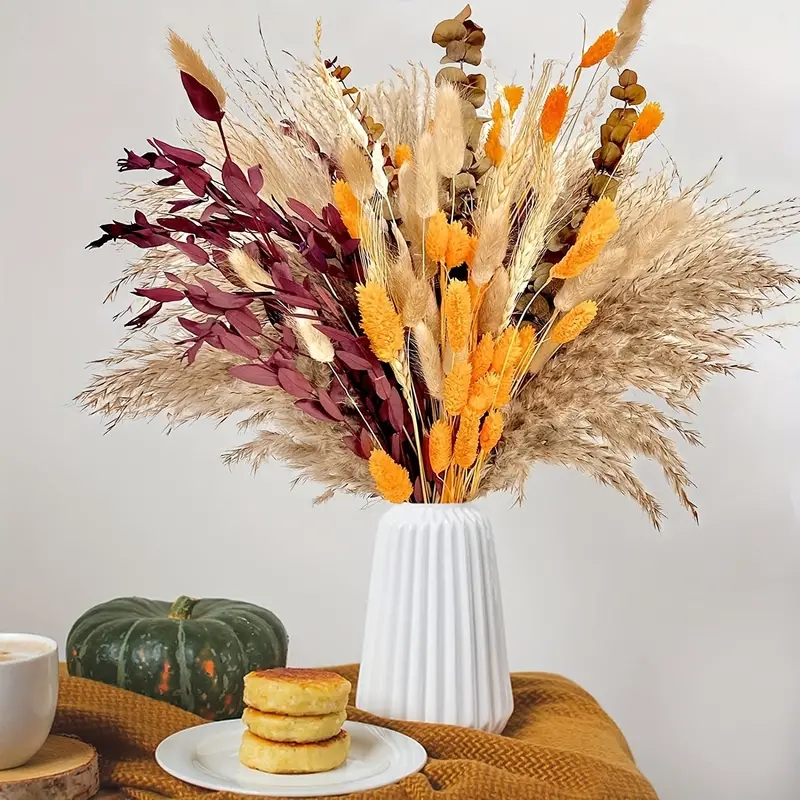 مجموعة تزيين قصب البامباس مكون - مراجعة Pampas Grass Decor وسعره