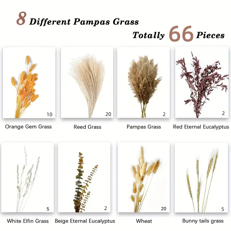 مجموعة تزيين قصب البامباس مكون - مراجعة Pampas Grass Decor وسعره