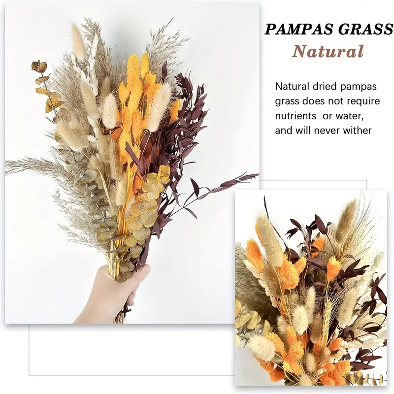 مجموعة تزيين قصب البامباس مكون - مراجعة Pampas Grass Decor وسعره